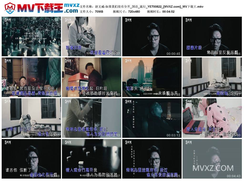 赵文威-如果我们没有分开_国语_流行_YE700822